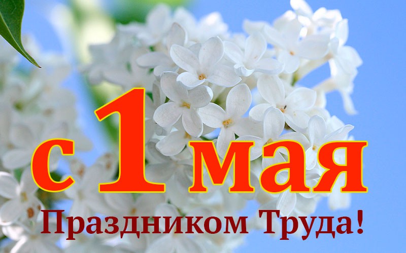 news 21031 image 900x 
